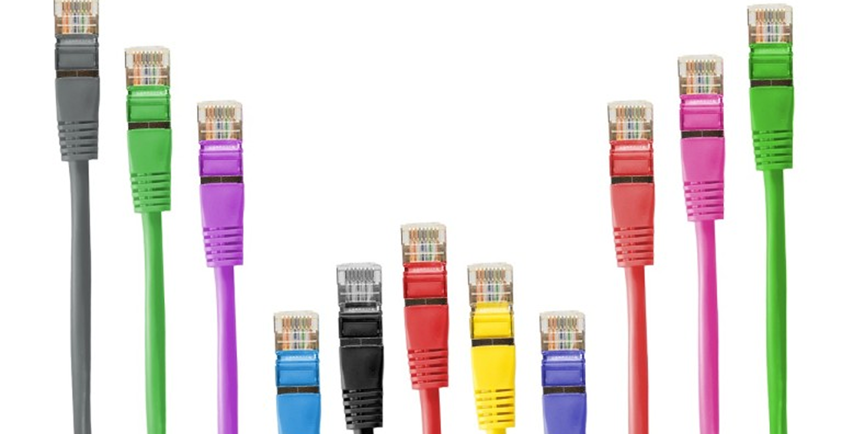 Multicolored network cables standing upright