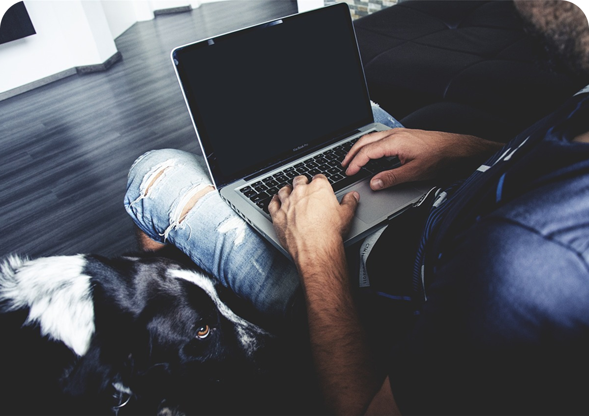 Person using laptop next to a dog