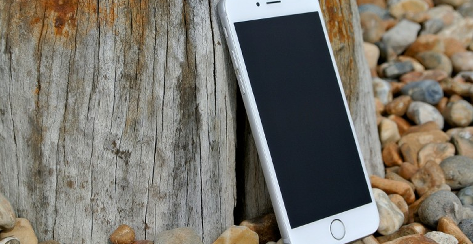 Smartphone resting against wooden stump